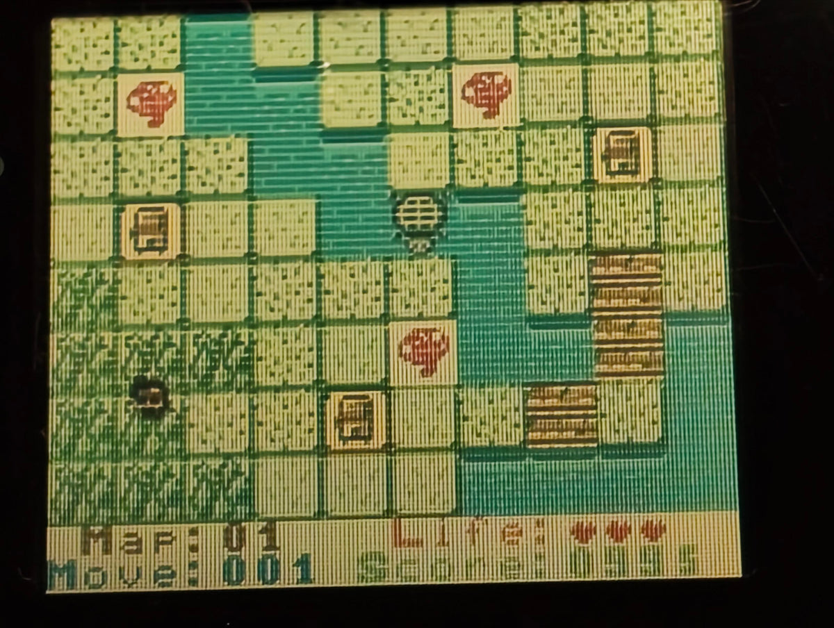 Fungus Foray DX October Update